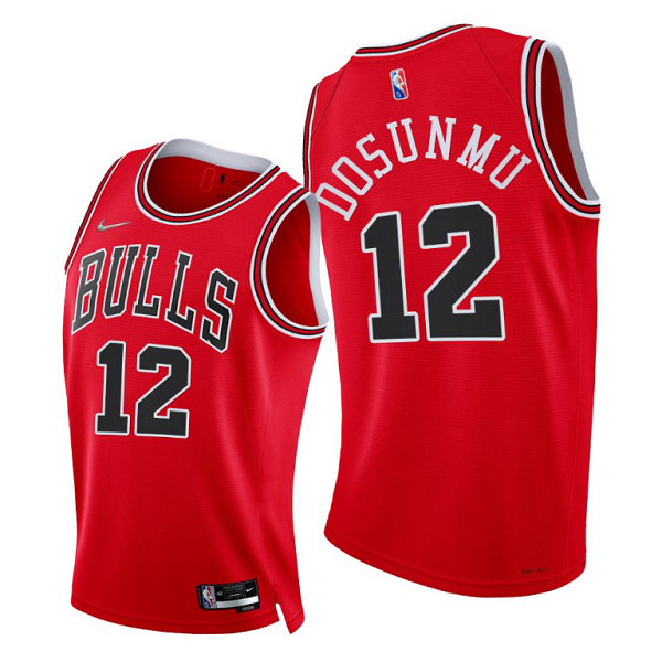 Men's Chicago Bulls #12 Ayo Dosunmu 2021-22 Diamond 75th Season Red Icon Edition NBA Jersey