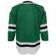 Youth Dallas Stars Green Home Premier Jersey