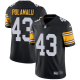 Nike Steelers #43 Troy Polamalu Black Alternate Youth Stitched NFL Vapor Untouchable Limited Jersey